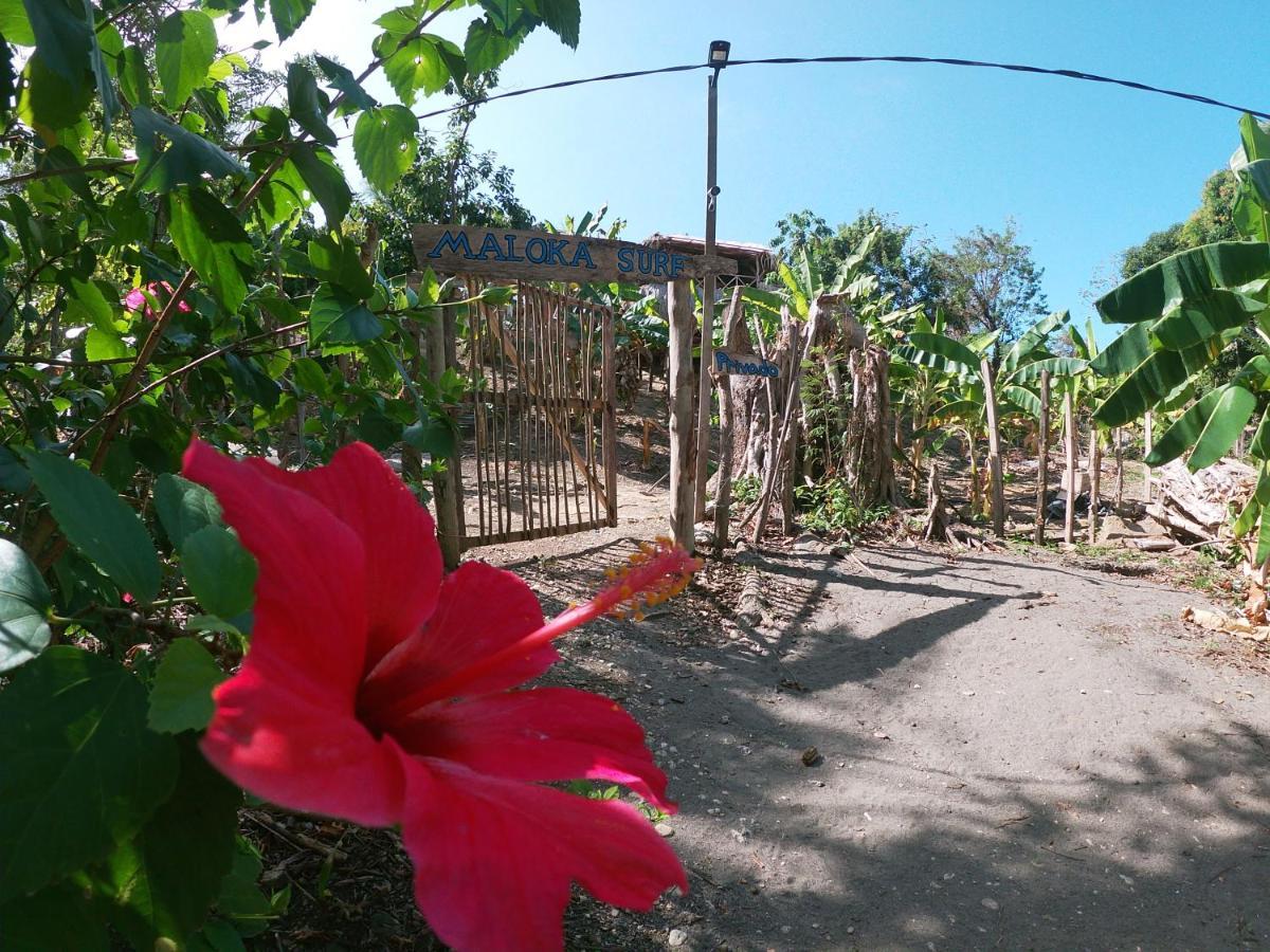 Private Beach House Maloka Surf Puerto Limon Buitenkant foto
