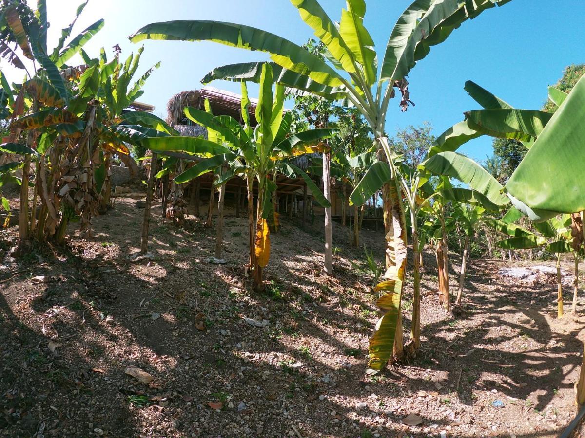 Private Beach House Maloka Surf Puerto Limon Buitenkant foto